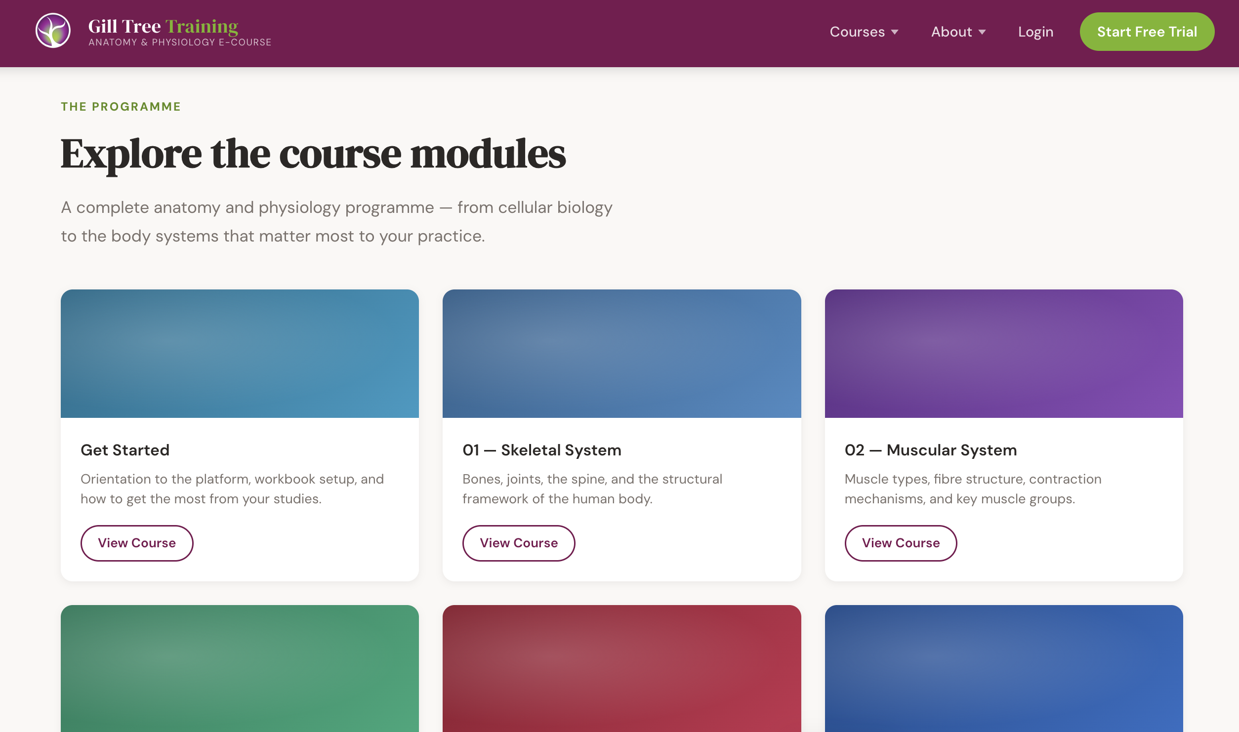 Screenshot of a course and training website concept